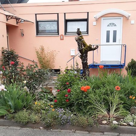 Appartamento Flat Offenburg Esterno foto