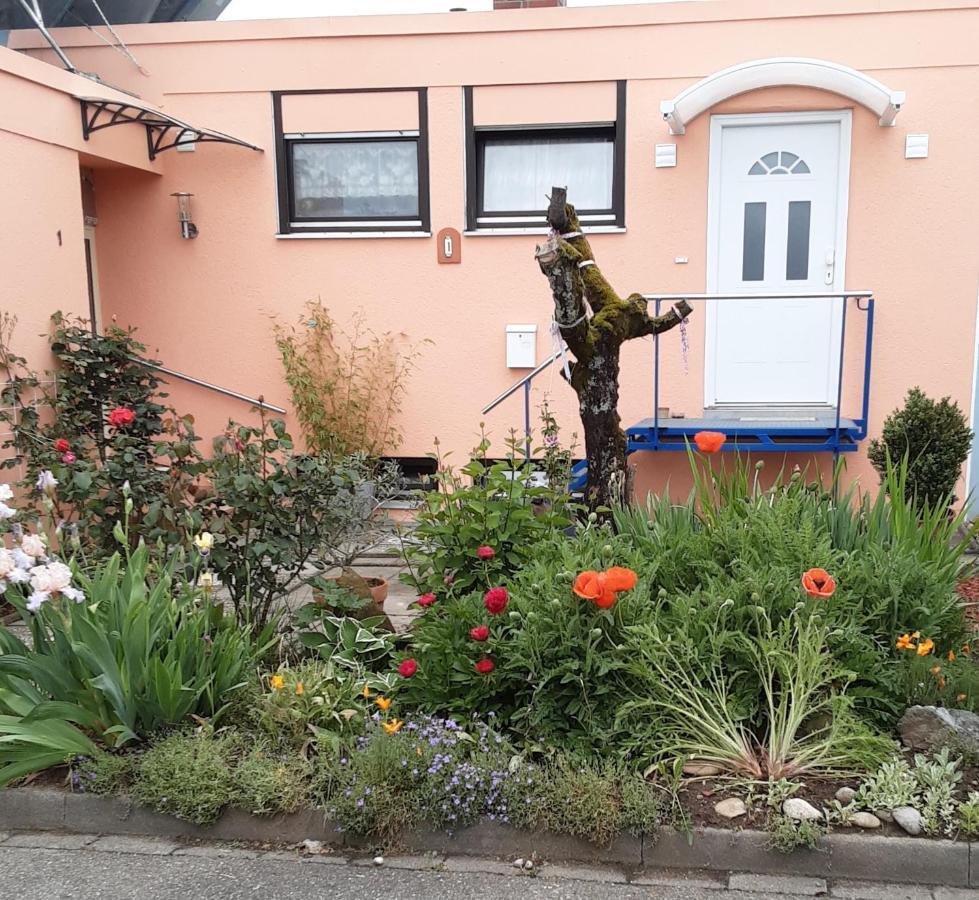 Appartamento Flat Offenburg Esterno foto