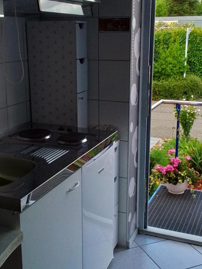 Appartamento Flat Offenburg Esterno foto
